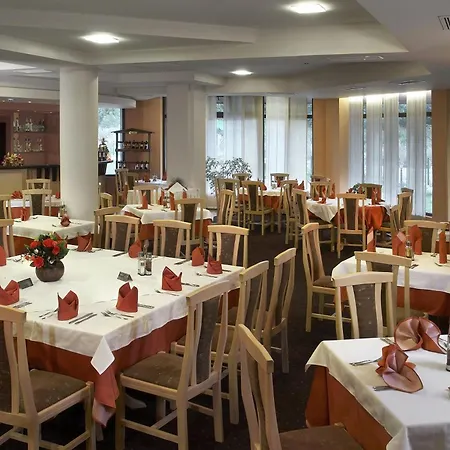 奥费艾酒店 班斯科