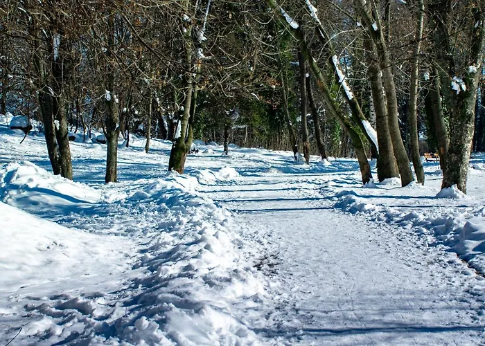 Orphey Szálloda Banszko